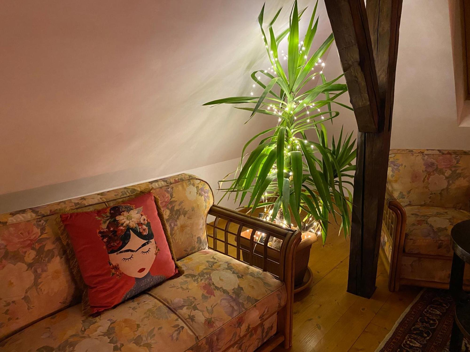 Rose'S Oldtown Apartment Brasov Exterior photo